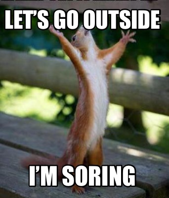 Meme Creator - Funny Let’s Go Outside I’m Soring Meme Generator At 