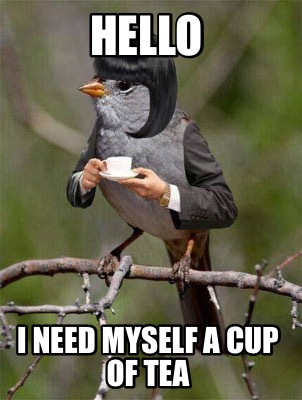 Meme Creator Funny Hello I Need Myself A Cup Of Tea Meme Generator At Memecreator Org