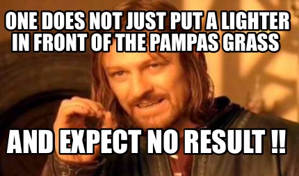 Meme Creator Funny One Does Not Just Put A Lighter In Front Of The Pampas Grass And Expect No Resu Meme Generator At Memecreator Org