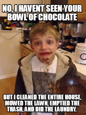 no-i-havent-seen-your-bowl-of-chocolate-but-i-cleaned-the-entire-house-mowed-the