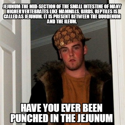 Meme Creator - Funny JEJUNUM The mid-section of the small intestine of ...