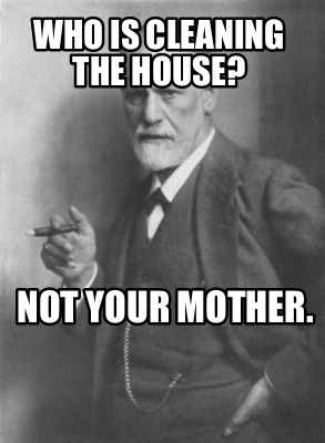 Meme Creator Funny Who Is Cleaning The House Not Your Mother Meme Generator At Memecreator Org