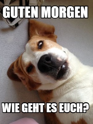 guten-morgen-wie-geht-es-euch