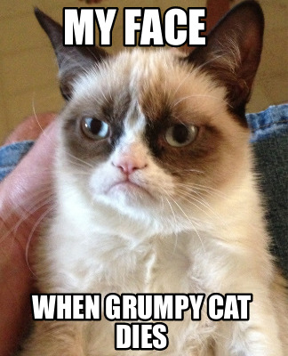 Meme Creator - Funny my face when grumpy cat dies Meme Generator at ...