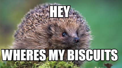 hey-wheres-my-biscuits