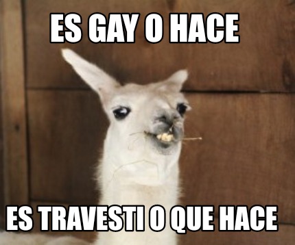 Meme Creator Funny Es Gay O Hace Es Travesti O Que Hace Meme