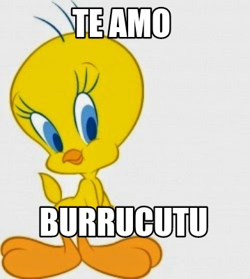 Meme Creator - Funny Te amo BURRUCUTU Meme Generator at MemeCreator.org!