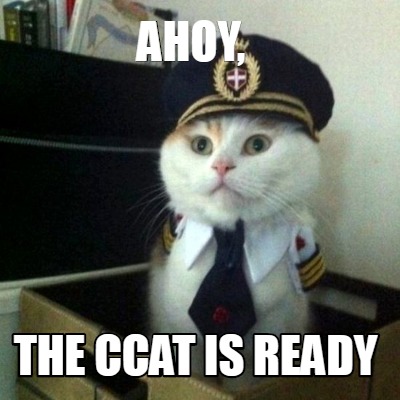 Meme Creator - Funny Ahoy, the ccat is ready Meme Generator at ...