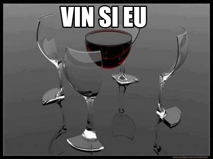 vin-si-eu