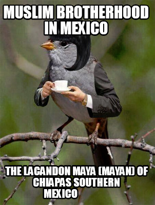 Meme Creator - Funny Muslim Brotherhood in Mexico The Lacandon Maya ...