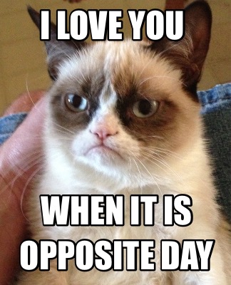 Meme Creator - Funny I Love You When It Is Opposite Day Meme Generator 