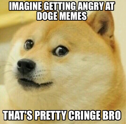 Meme Creator - Funny IMAGINE GETTING ANGRY AT DOGE MEMES THAT'S PRETTY ...