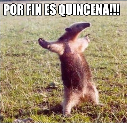 Meme Creator Funny Por Fin Es Quincena Meme Generator At