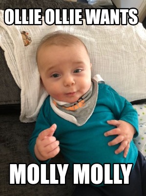 ollie-ollie-wants-molly-molly