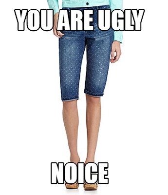 you-are-ugly-noice