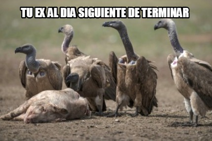 tu-ex-al-dia-siguiente-de-terminar