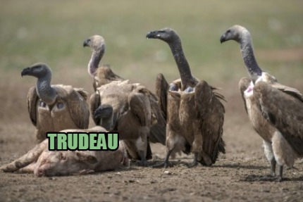 trudeau0