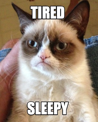 Meme Creator - Funny Tired Sleepy Meme Generator at MemeCreator.org!