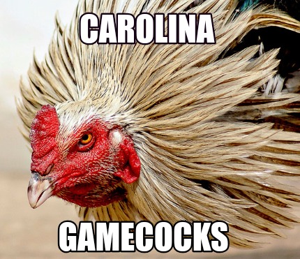 carolina-gamecocks
