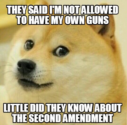 Meme Creator - Funny They said I'm not allowed to have my own guns ...