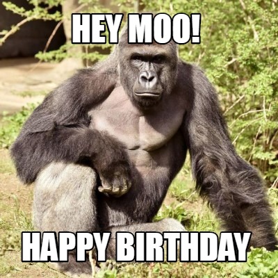 Meme Creator - Funny Hey Moo! Happy Birthday Meme Generator at ...