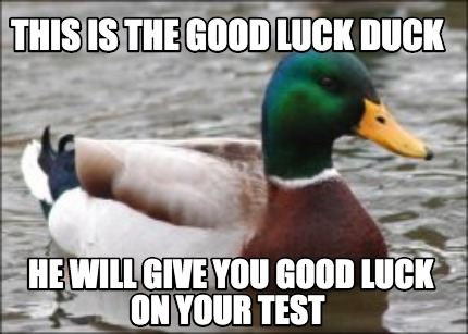 good advice duck