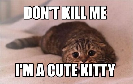 dont-kill-me-im-a-cute-kitty