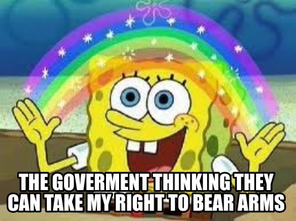 Meme Creator - Funny the goverment thinking they can take my right to ...