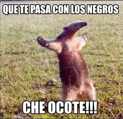 Meme Creator Funny Que Te Pasa Con Los Negros Che Ocote Meme