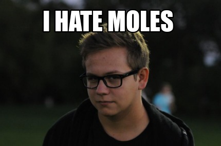 Meme Creator - Funny I hate moles Meme Generator at MemeCreator.org!