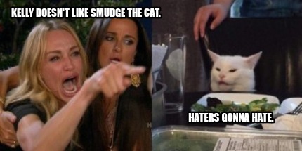 Haters Gonna Hate Cat