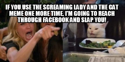 if-you-use-the-screaming-lady-and-the-cat-meme-one-more-time-im-going-to-reach-t