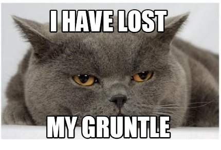 i-have-lost-my-gruntle