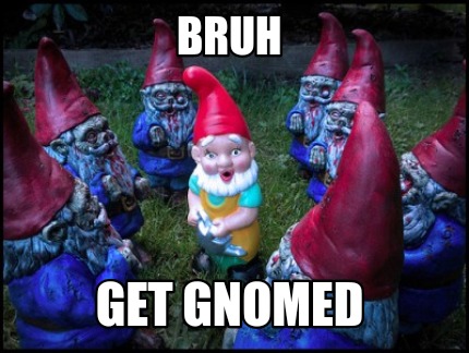 bruh-get-gnomed