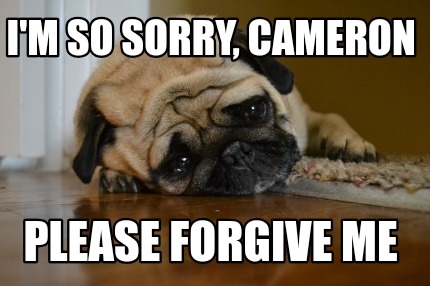 Meme Creator - Funny I'm so sorry, Cameron Please forgive me Meme ...