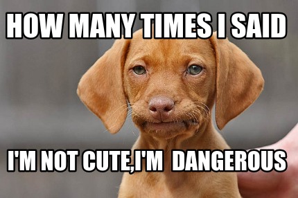 Meme Creator - Funny How many times i said i'm not cute,i'm dangerous ...