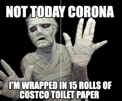 not-today-corona-im-wrapped-in-15-rolls-of-costco-toilet-paper