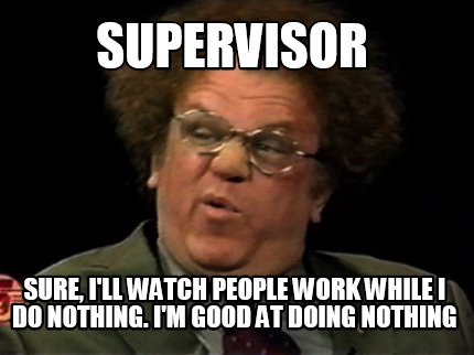 Meme Creator - Funny supervisor sure, i'll watch people work while i do ...