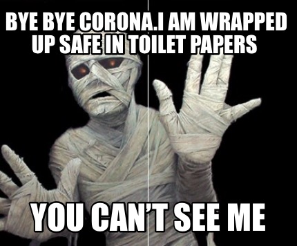 bye-bye-corona.i-am-wrapped-up-safe-in-toilet-papers-you-cant-see-me