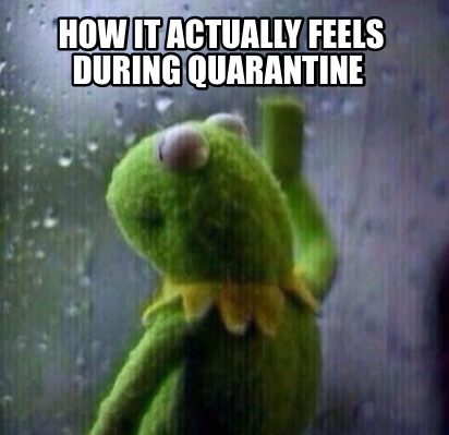 Meme Creator - Funny How it actually feels during quarantine Meme ...