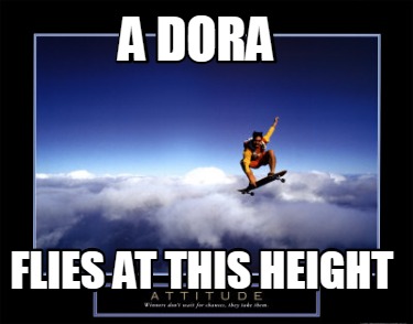 a-dora-flies-at-this-height