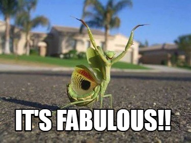 its-fabulous