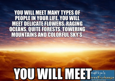 you-will-meet-many-types-of-people-in-your-life.-you-will-meet-delicate-flowers-