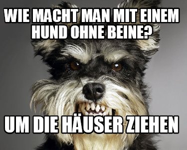 Meme Creator - Funny Wie macht man mit einem Hund ohne beine? Um die ...