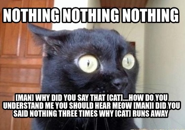 Meme Creator Funny Nothing Nothing Nothing Man Why Did You Say That Cat How Do You Understan Meme Generator At Memecreator Org