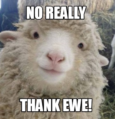 Meme Creator - Funny no really thank ewe! Meme Generator at MemeCreator ...