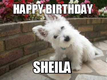 happy-birthday-sheila9