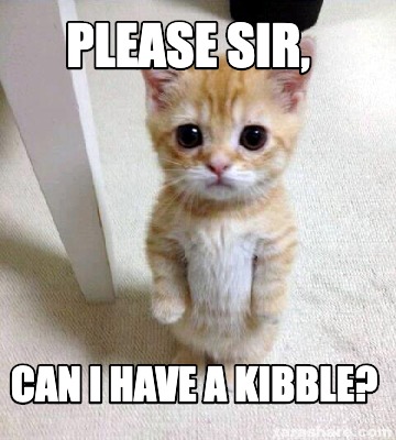 Meme Creator - Funny please sir, can i have a kibble? Meme Generator at ...