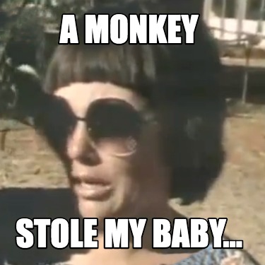 Meme Creator Funny A Monkey Stole My Baby Meme Generator At Memecreator Org