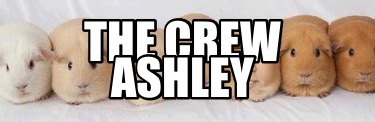 the-crew-ashley